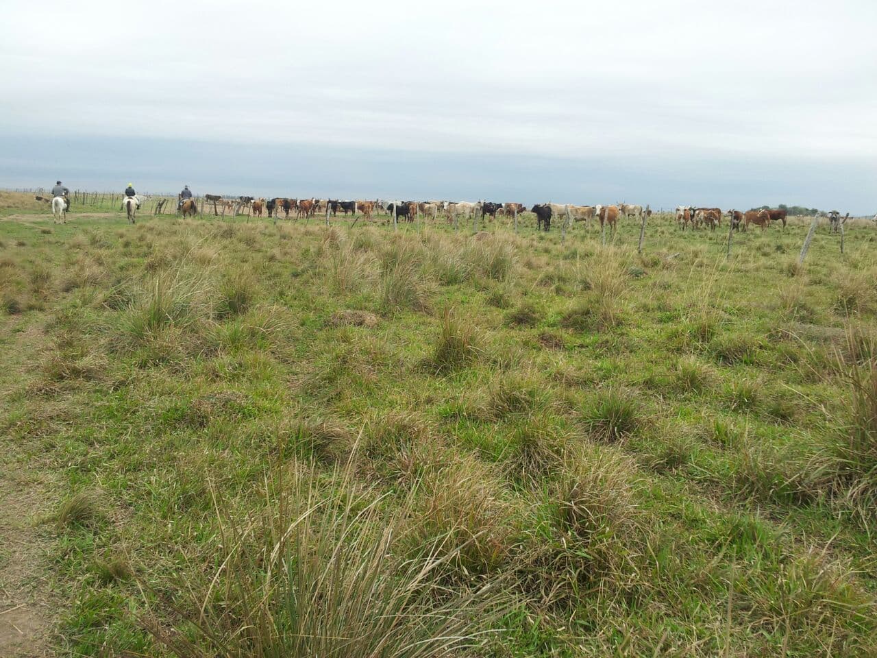 Campo en venta de 2259m2 ubicado en Misiones – San Ignacio - foto 1