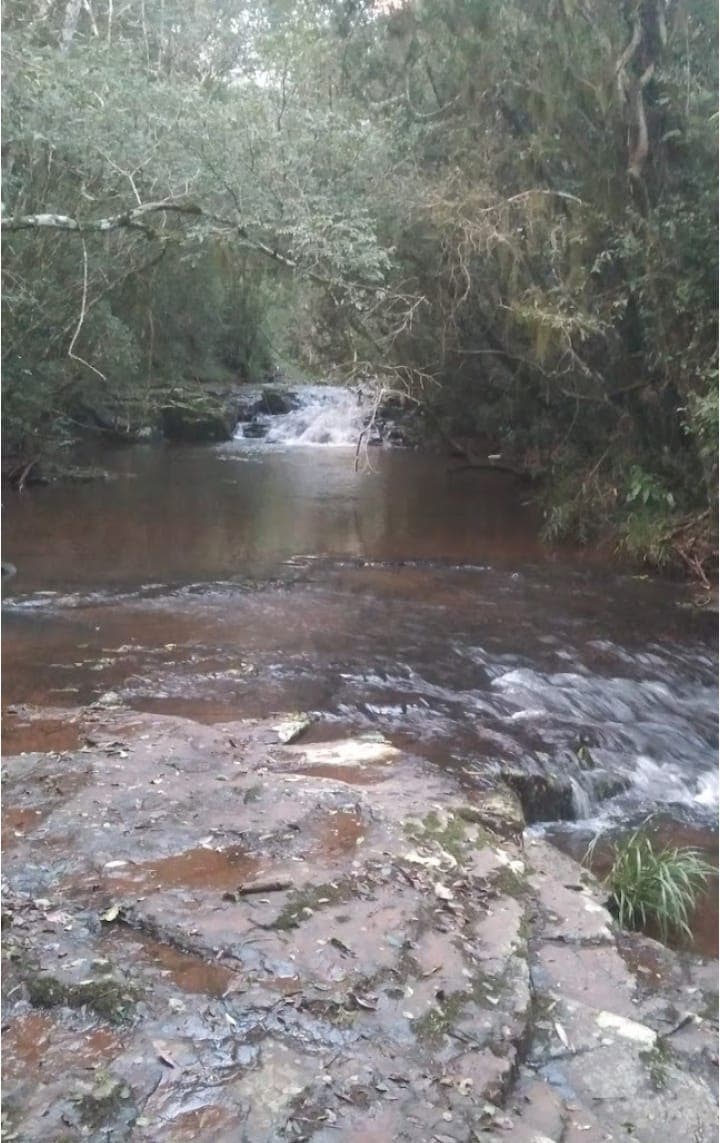 Chacra en venta de 9ha ubicado en Salto Encantado - foto 1